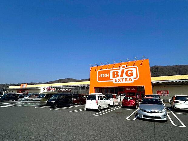 ザ・ビッグエクストラ平群店(約800m)