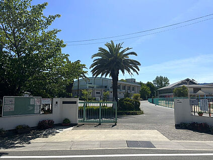 日根野中学校 800m