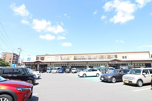 コープ焼山店（約700m）