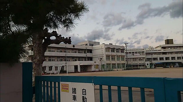 五日市観音小学校(約1,300m)
