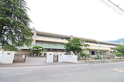 阿賀中学校 270m