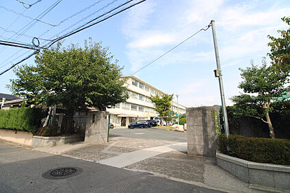 翠町中学校 1100m