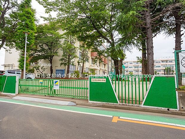 川口市立柳崎小学校()