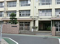 西武池袋線「石神井公園」駅 徒歩20分