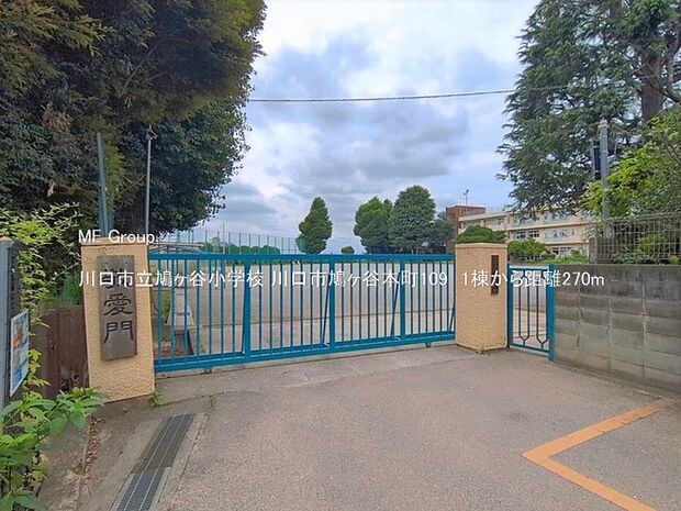 川口市立鳩ヶ谷小学校()