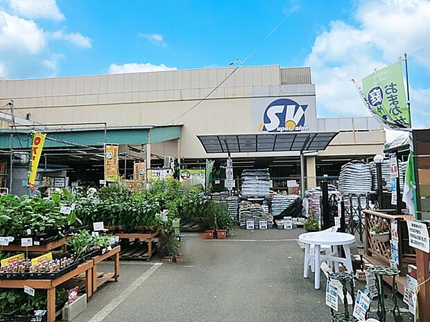 スーパーバリュー練馬大泉店（約900m）