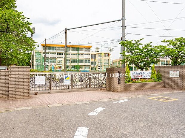 川口市立前川小学校(約450m)