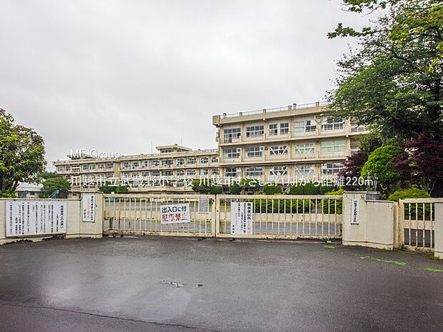 川越市立武蔵野小学校（約220m）