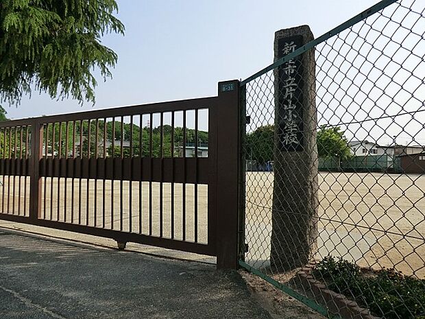 新座市立片山小学校（約700m）