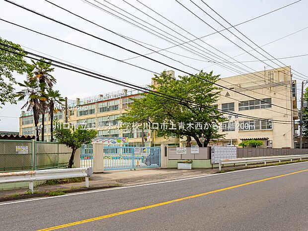 川口市立上青木小学校（約200m・徒歩3分）