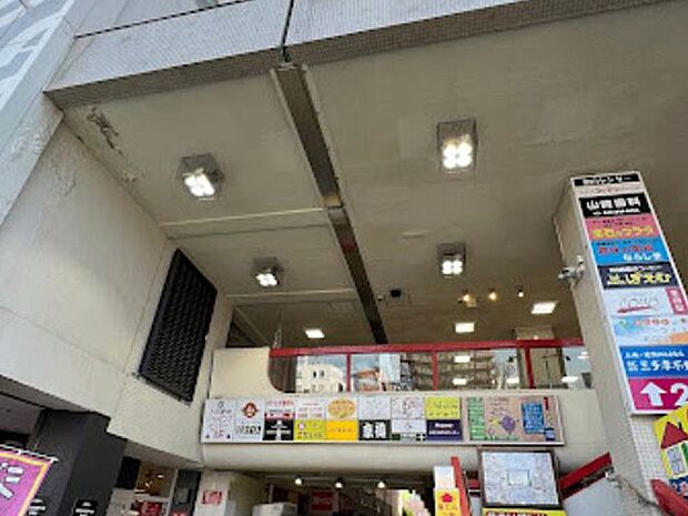 小平駅前ショッピングセンター(約800m)