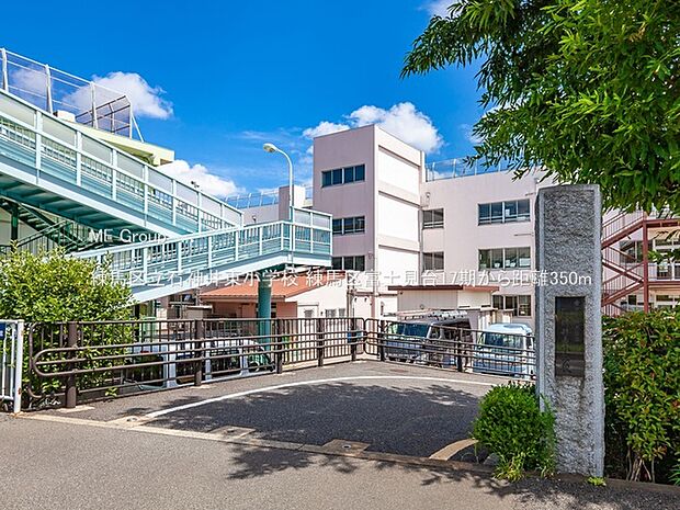 練馬区立石神井東小学校（約350m）