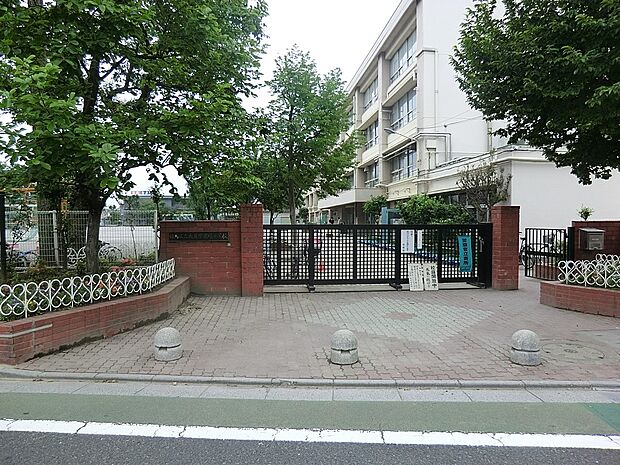 練馬区立大泉学園緑小学校(約600m)