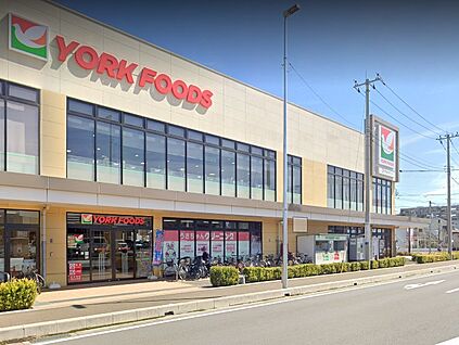ヨークフーズ 所沢花園店 1100m(14分)