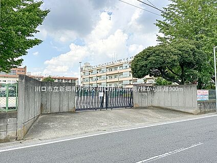 川口市立新郷南小学校 900m(12分)