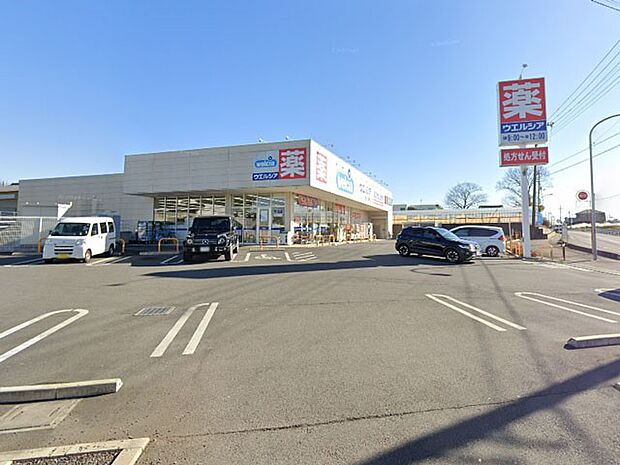 ウエルシア富士見渡戸店（約800m）