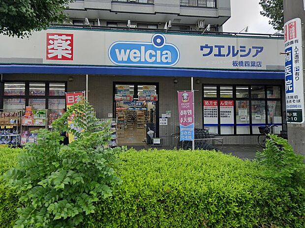 ウエルシア板橋四葉店(約800m)