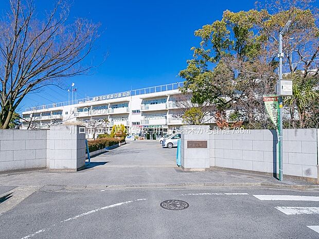 川口市立中居小学校(約730m)