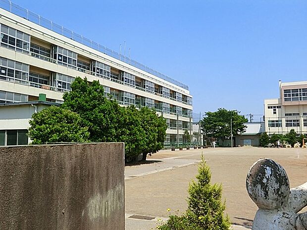川口市立芝小学校(約280m)