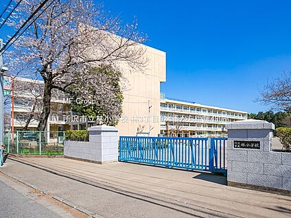 所沢市立林小学校 480m