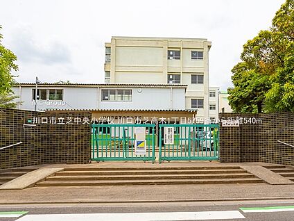 川口市立芝中央小学校 540m(7分)