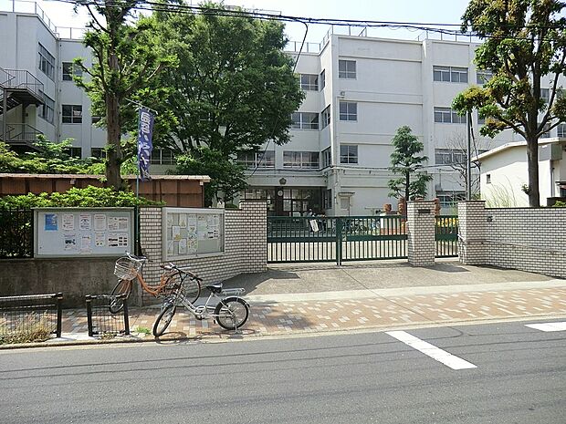 足立区立辰沼小学校(約550m)