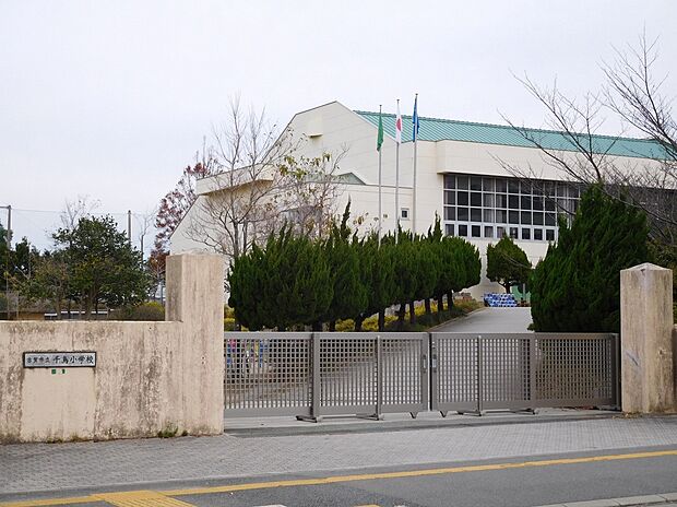 千鳥小学校(約700m)