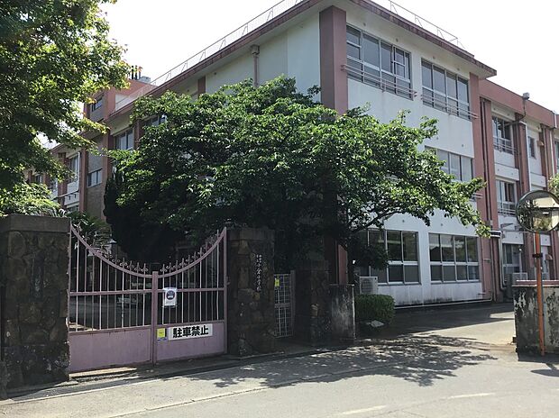 小倉小学校(約850m)