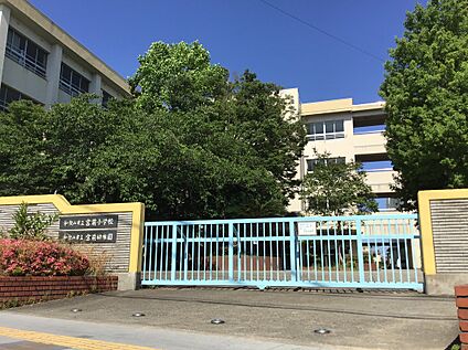 和歌山市立宮前小学校 1331m(徒歩 16分)