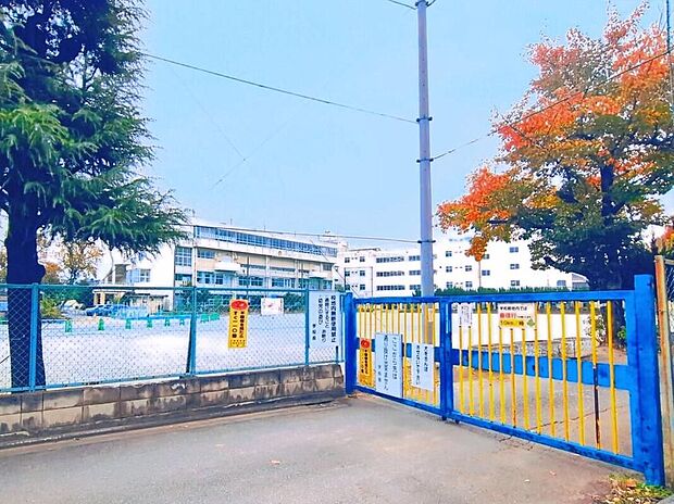 川越市立大塚小学校（約290m）