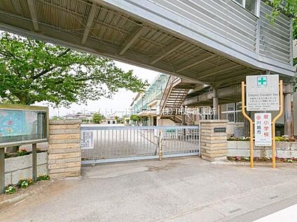 川越市立泉小学校 1100m(徒歩１４分)