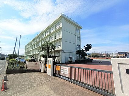 平塚市立なでしこ小学校 約80m
