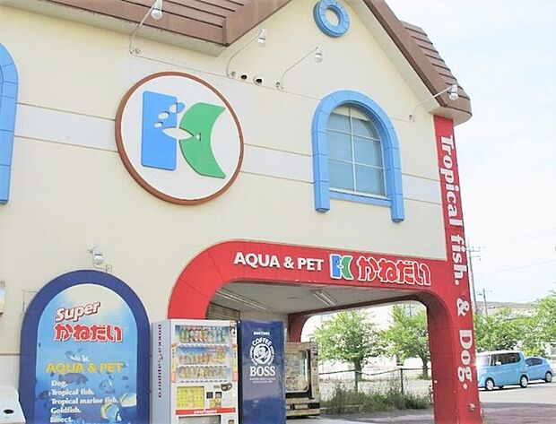 かねだい 伊勢原店