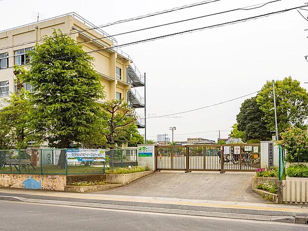 市川市立大洲小学校まで800m 徒歩10分♪