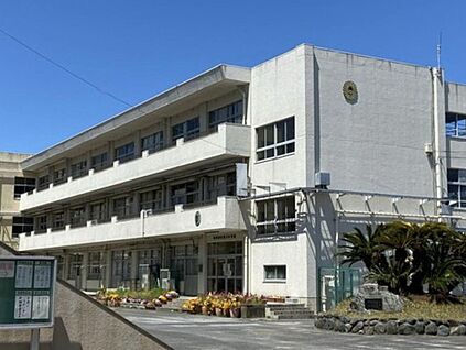 市川市立第三中学校 800ｍ(徒歩10分)