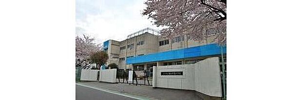松戸市立新松戸南小学校（約60m）