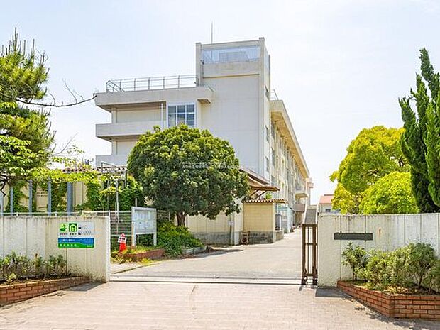 市川市立福栄中学校(約1,500m)