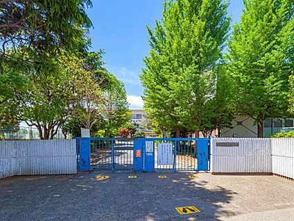 松戸市立栗ケ沢小学校 900m(徒歩12分)