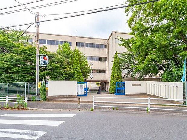 松戸市立柿ノ木台小学校（約570m）