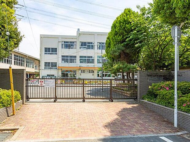 市川市立南新浜小学校(約700m)