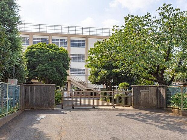 市川市立柏井小学校(約220m)