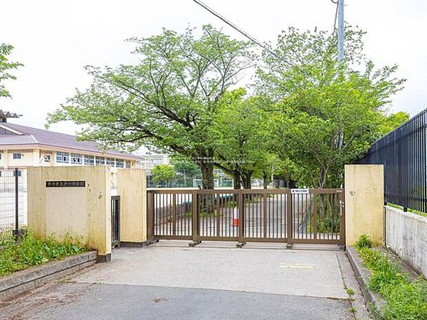 市川市立第一中学校（約1,600m）