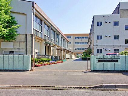 松戸市立新松戸南中学校 850m(徒歩11分)