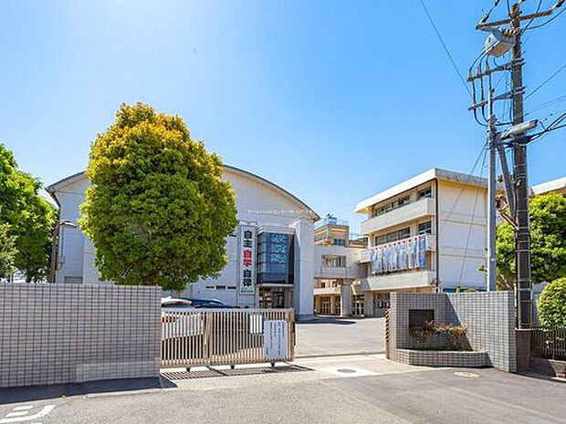 松戸市立第四中学校（約1,300m）