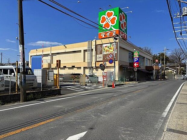 ライフ市川国分店（約450m）
