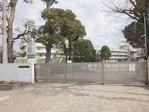 市川市立真間小学校(約350m)