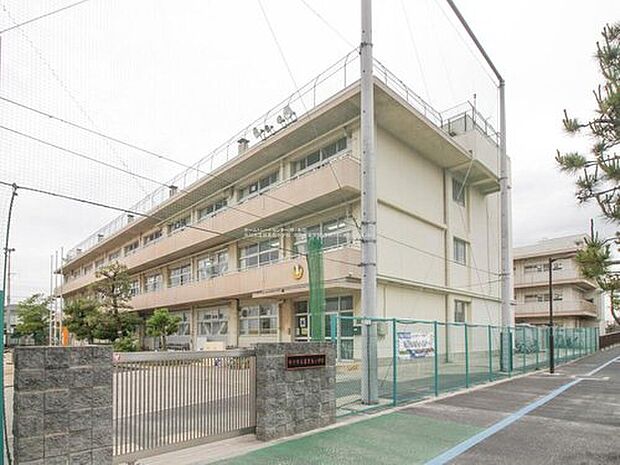市川市立冨貴島小学校(約500m)