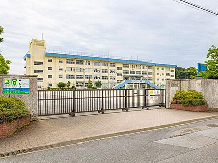 市川市立下貝塚中学校 700m(徒歩9分)