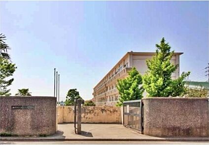 松戸市立栗ケ沢中学校 650m ( 徒歩9分)