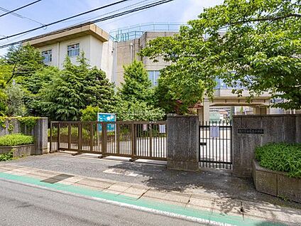 市川市立鬼高小学校 900m(徒歩12分)